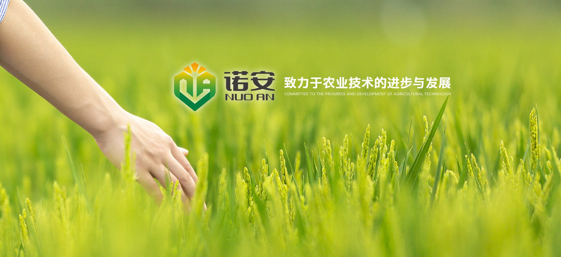 麻豆免费视频生態肥業